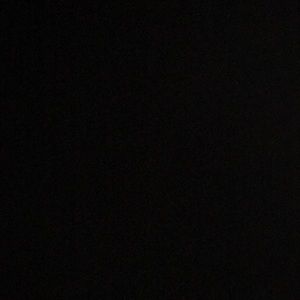 Meet your Posher, Rav